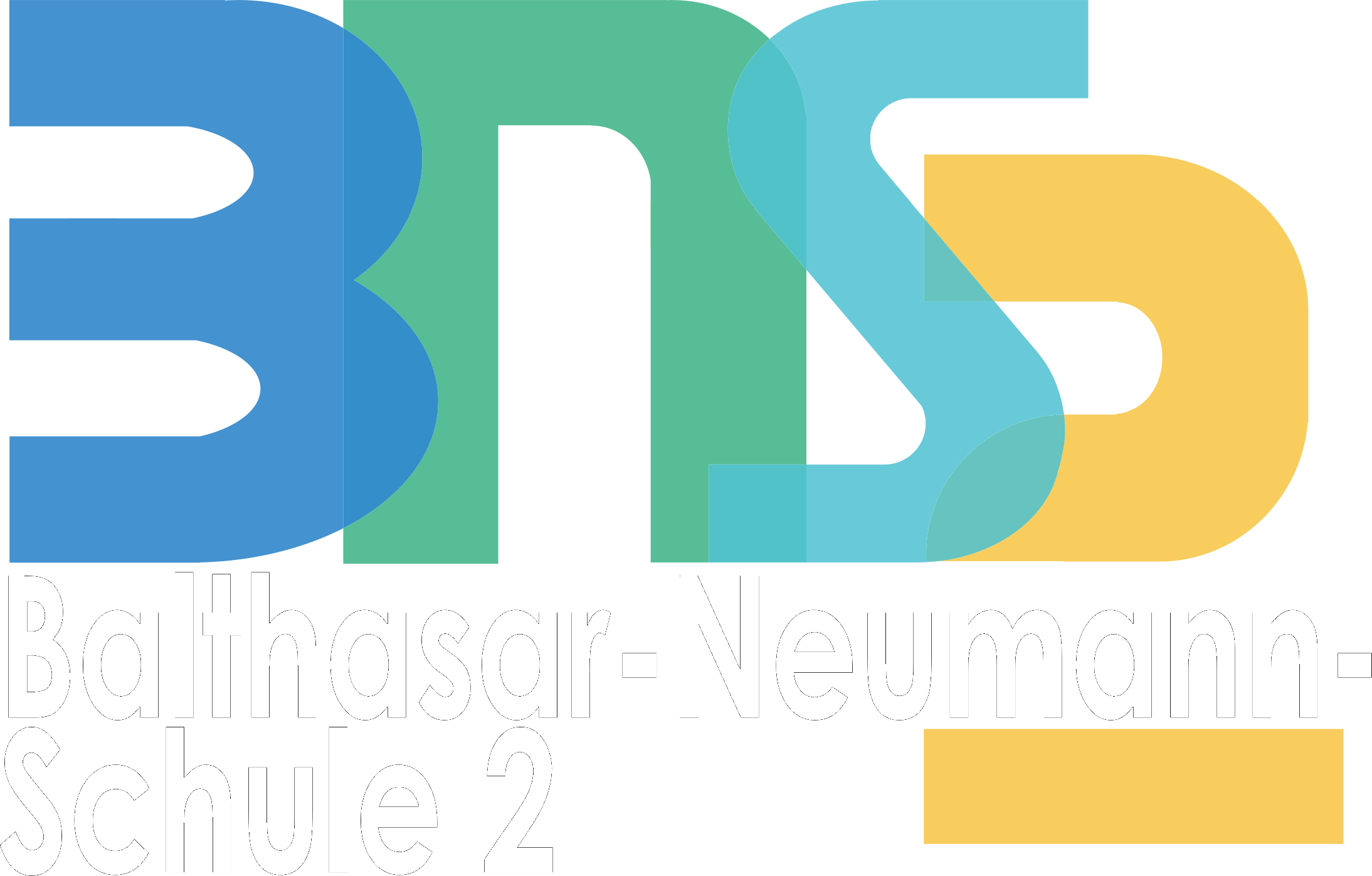 BNS2